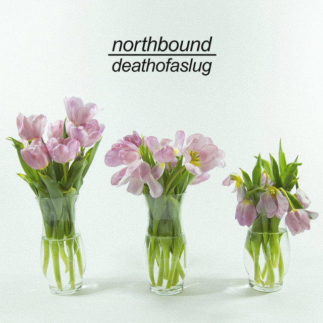 Death Of A Slug cover art