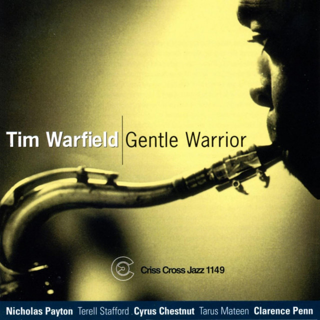 Gentle Warrior cover