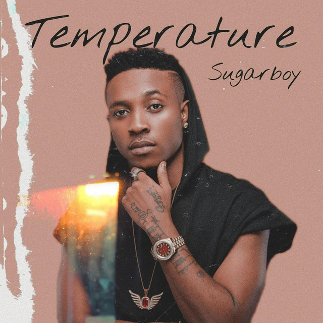 Temperature cover art