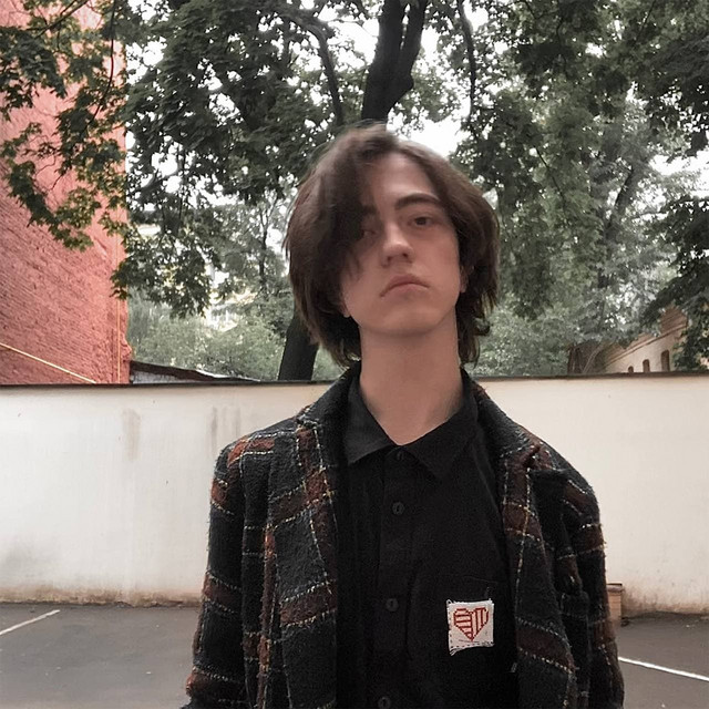 Пришитое сердце cover art