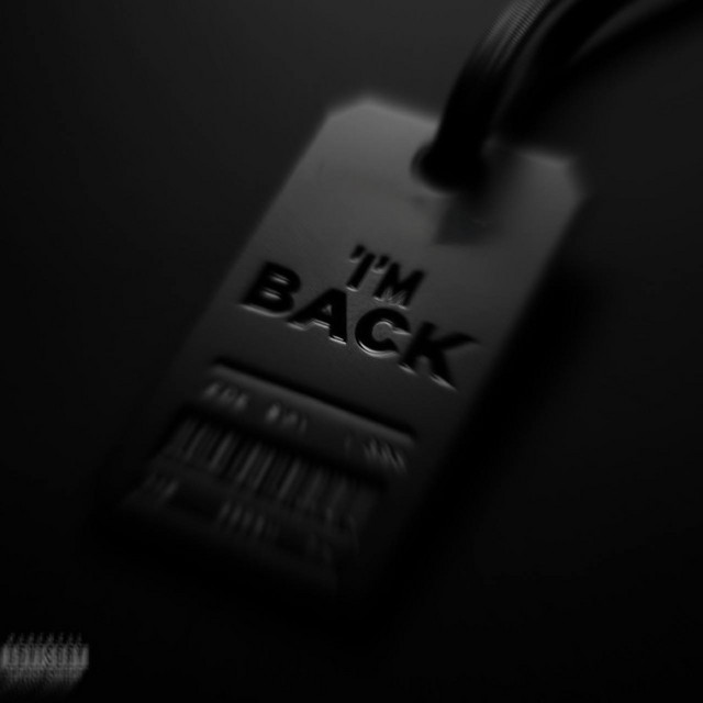 Обкладинка: I’m Back — yanneplug