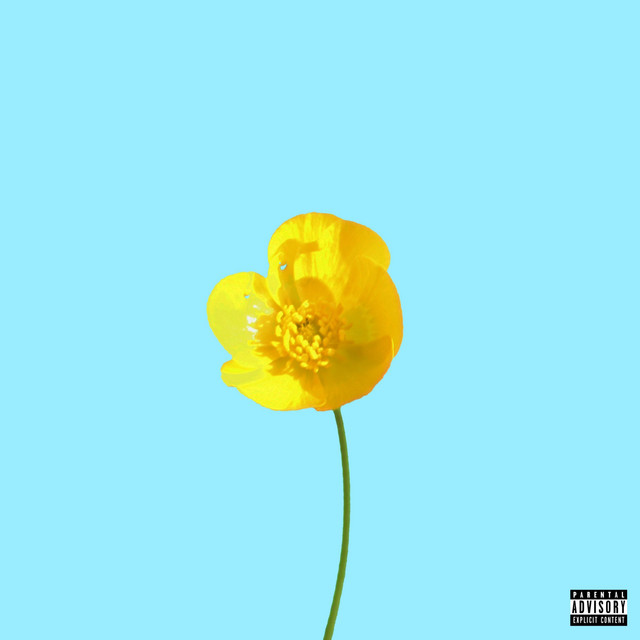 Fleur jaune cover art