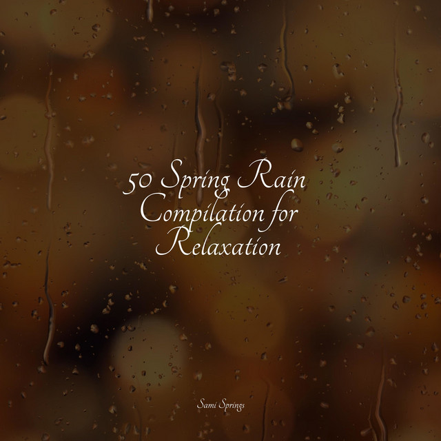 50 Spring Rain Compilation for Relaxation - Album by Sonidos de lluvia ...