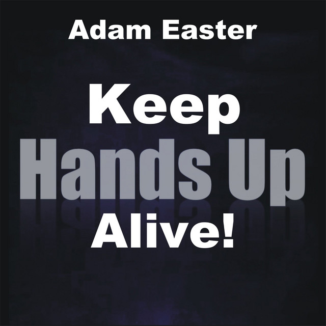 Keep Hands up Alive! - Damn-R Remix Edit cover art