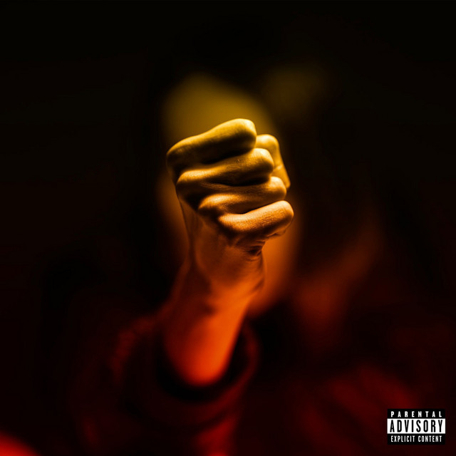 Pugni cover art