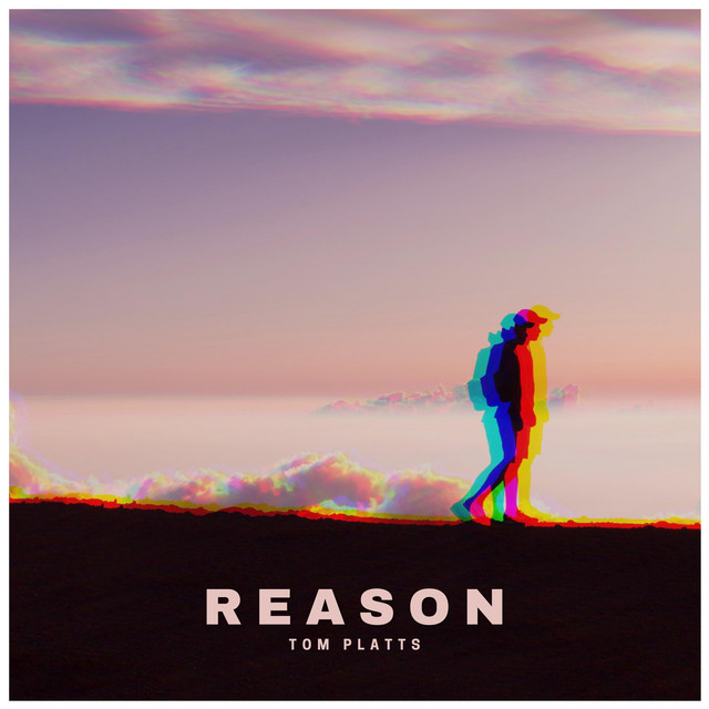 Reason cover art