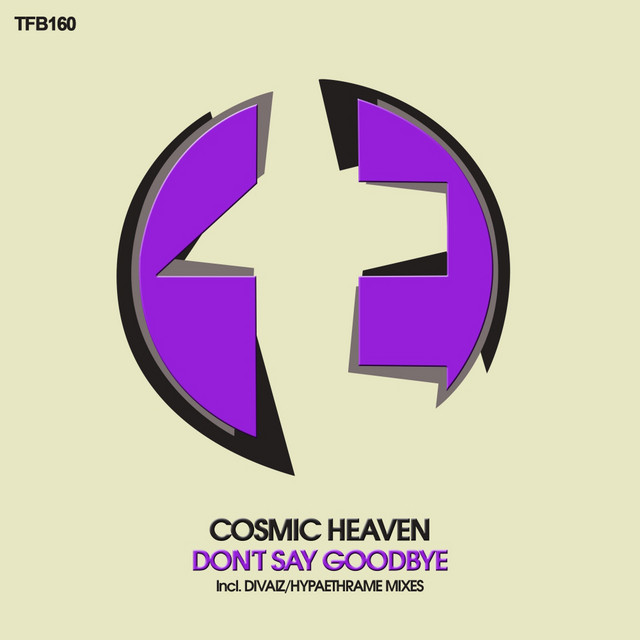 Don't Say Goodbye cover art