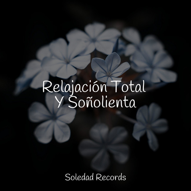 Relajación Total Y Soñolienta