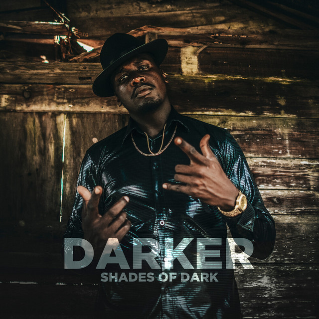 Darker Shades of Dark cover art