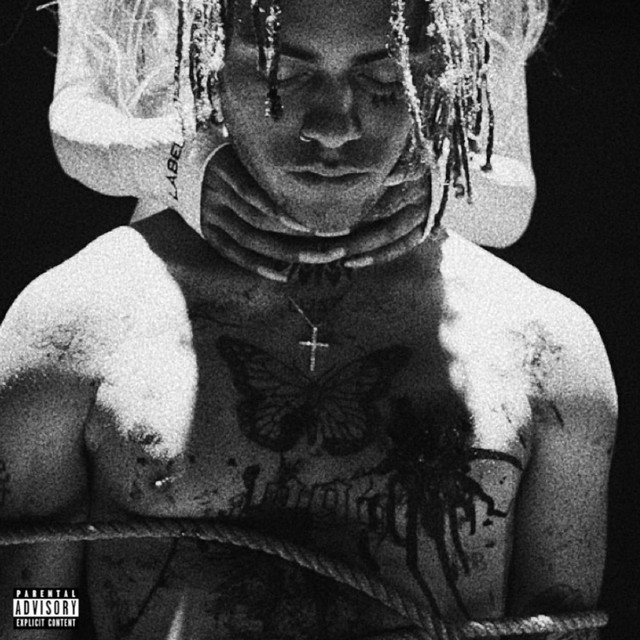 Cupid cover art