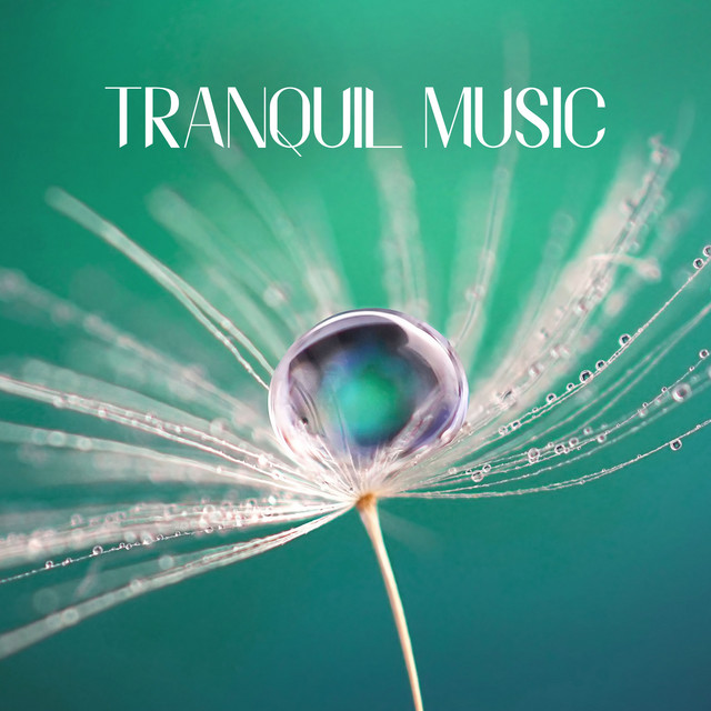 Tranquil Music: Spa, Healing Touch, Meditation - Heal Yourself