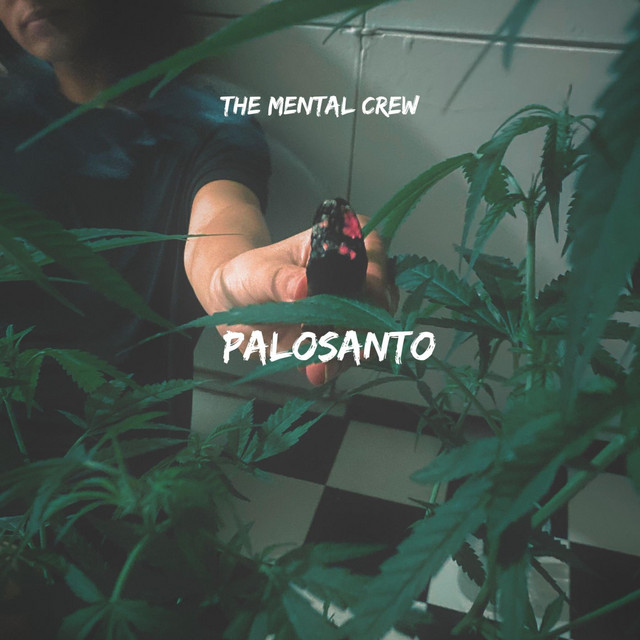 Palosanto