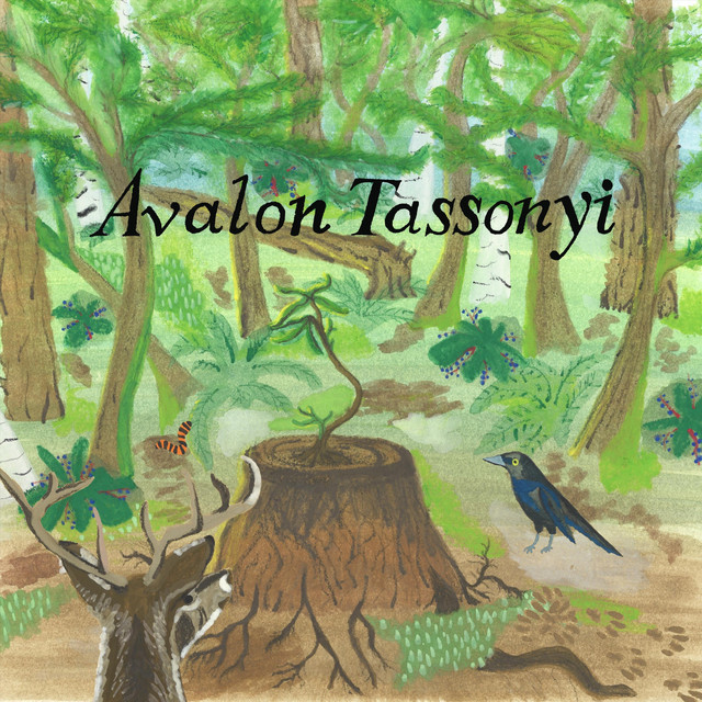 Avalon Tassonyi cover art