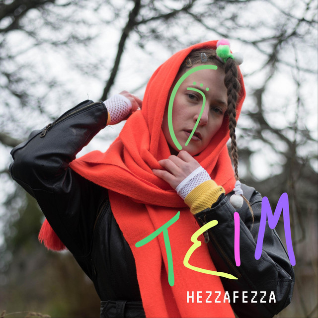 Teim cover