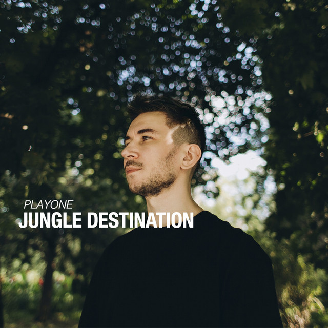 Jungle Destination cover art