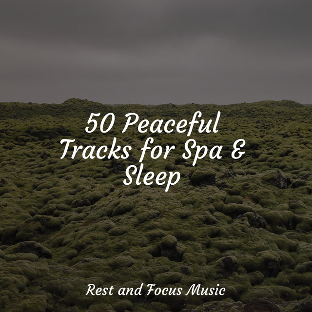 50 Peaceful Tracks for Spa & Sleep - Album by Guided Meditation | Spotify