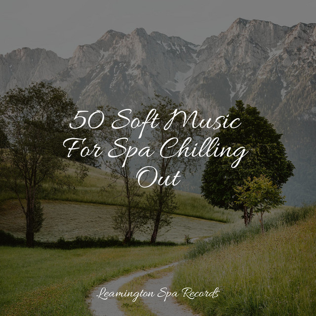 50 Soft Music For Spa Chilling Out - Album by Nature Sounds XLE Library ...