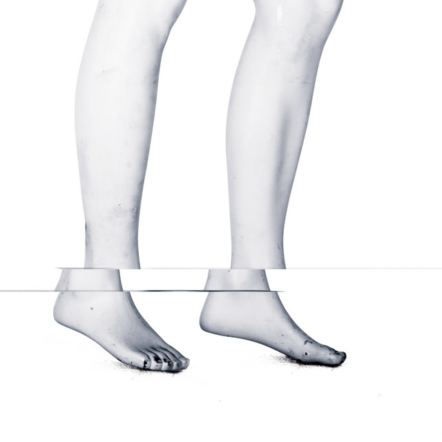 Veldisa cover