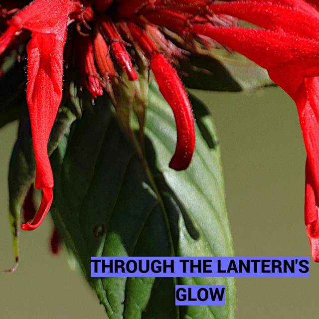 Through the Lantern’s Glow