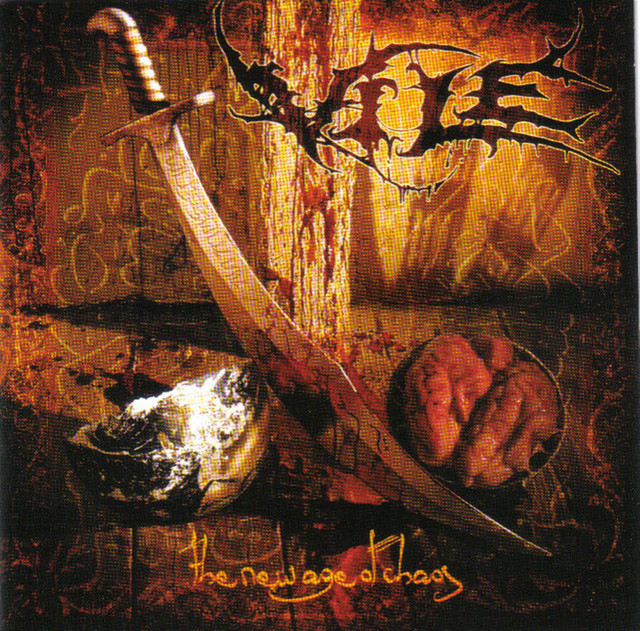 The New Age Of Chaos cover