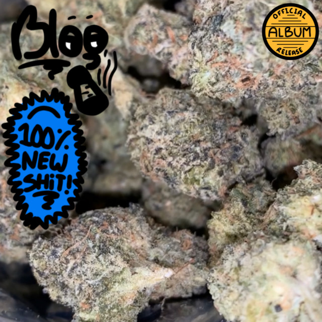 100% new shit! cover art