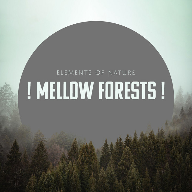 ! Mellow Forests ! cover art