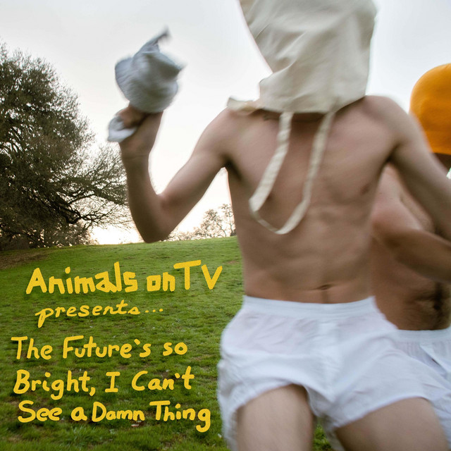 The Future's so Bright I Can't See a Damn Thing cover
