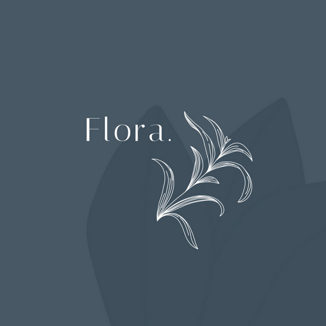 Hora cover art