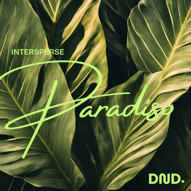 Paradiso cover art