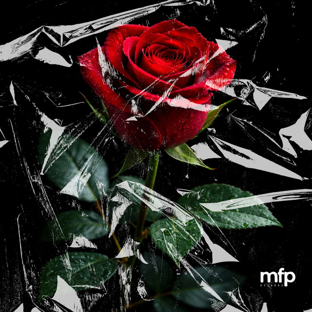 Rose - Sped Up