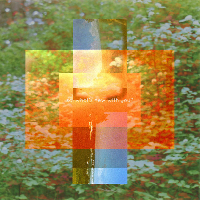 so, what's new with you? cover art