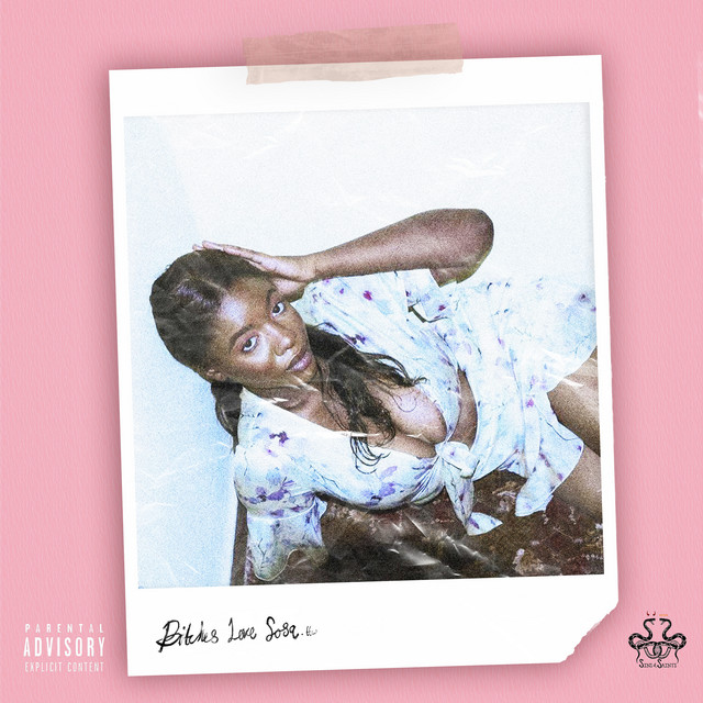 Bitches Love Sosa cover art