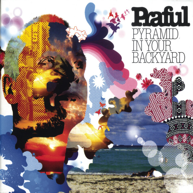 Pyramid In Your Backyard cover art