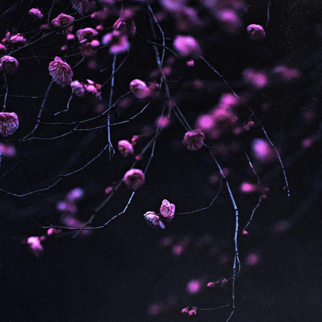 floating cover art