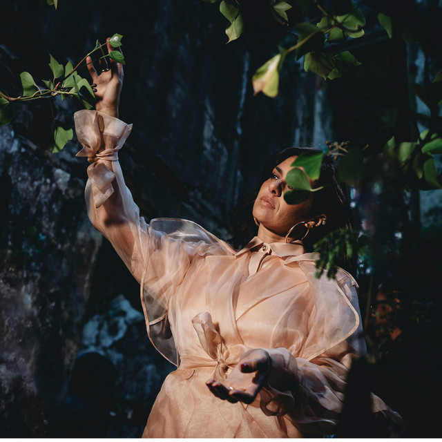 undefined album image