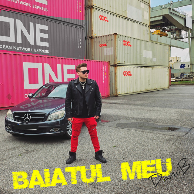 Baiatul Meu cover