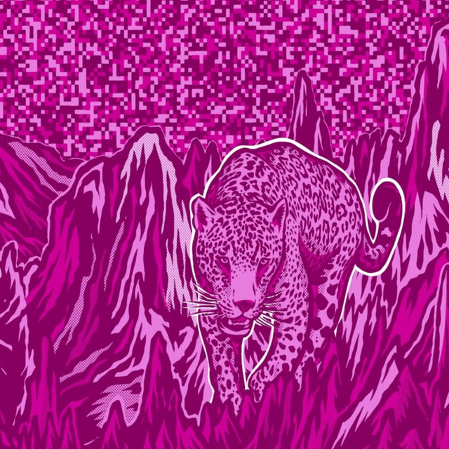 Jaguar cover art