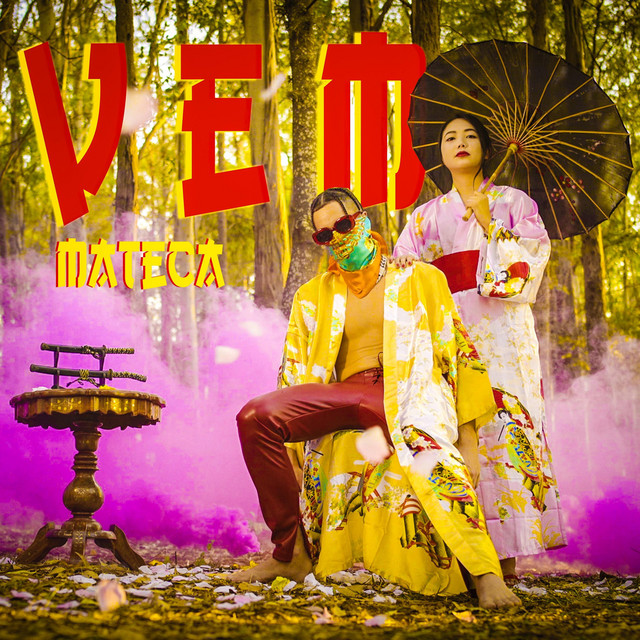 Vem cover art