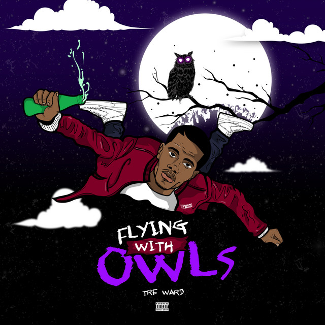 Flying with Owls cover art