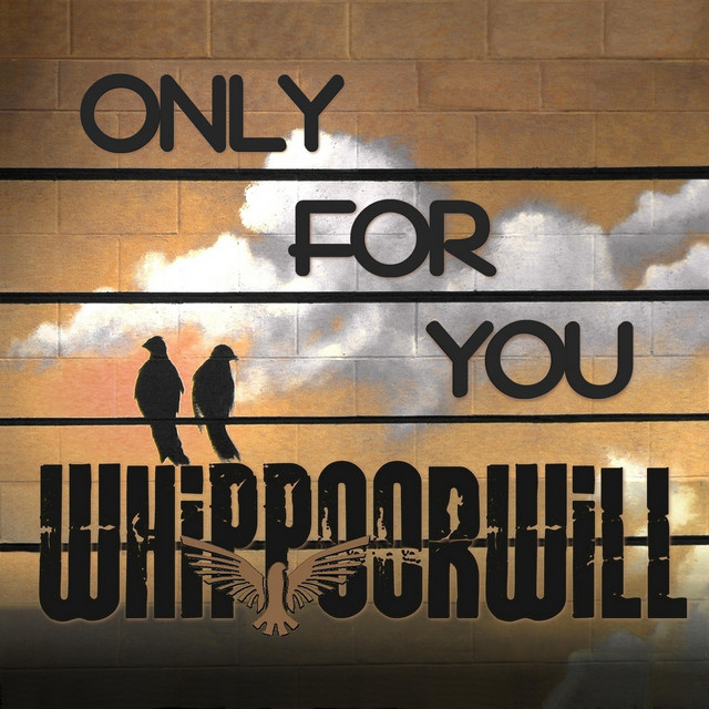 Only for You cover