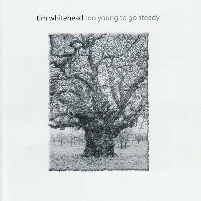 Too Young to Go Steady cover art