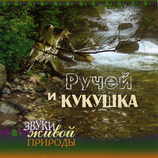 Ручей и кукушка cover art