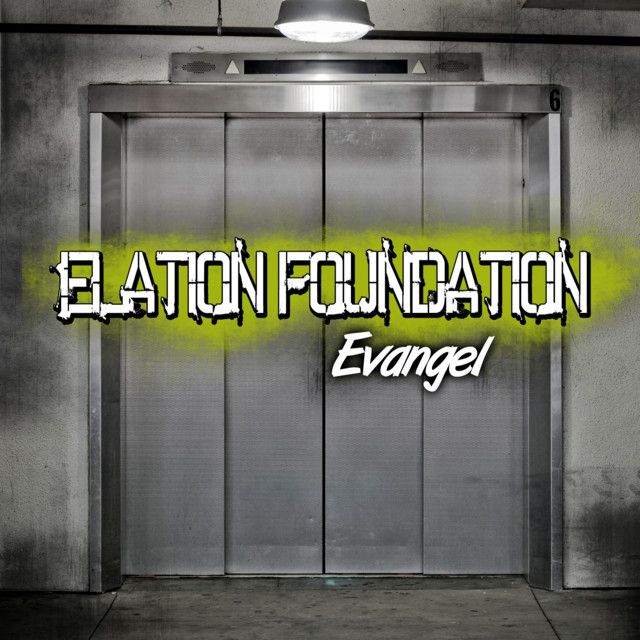Elation Foundation cover art