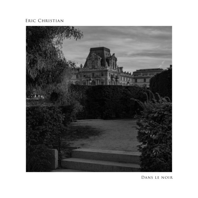 Dans le noir cover art