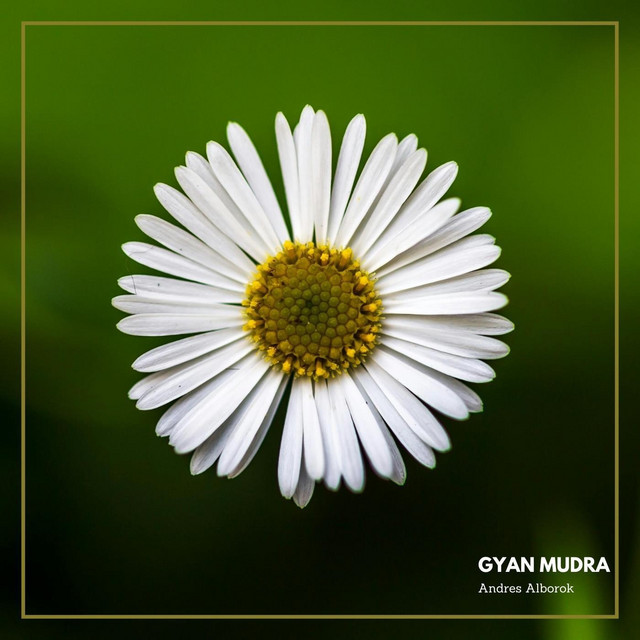 GYAN MUDRA