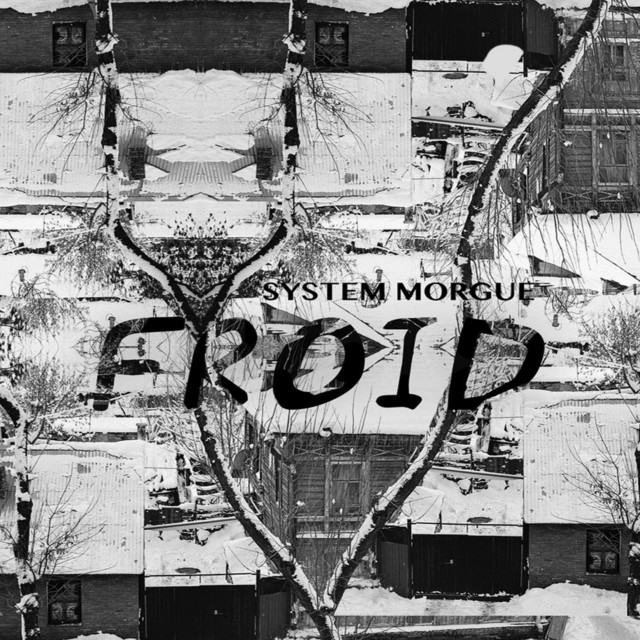 Froid cover