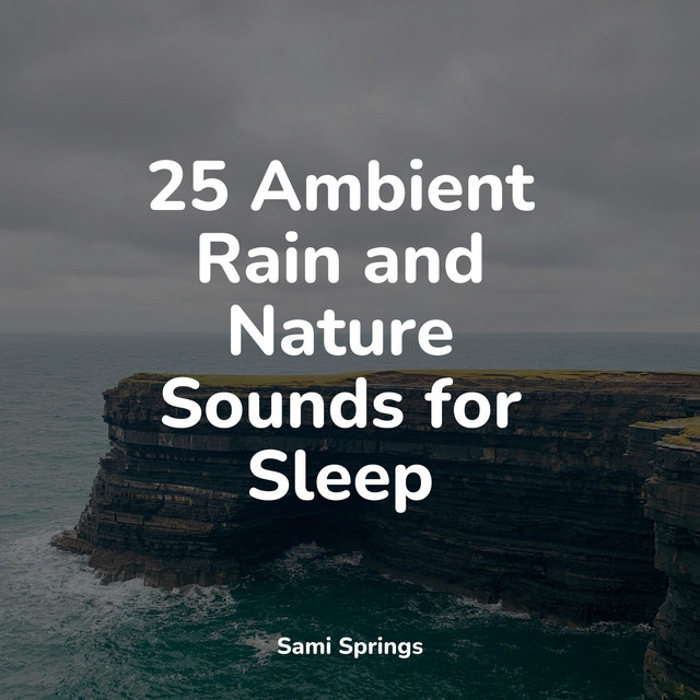25 Ambient Rain and Nature Sounds for Sleep - Album by Lullabies for ...