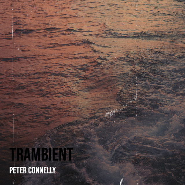 Trambient cover art