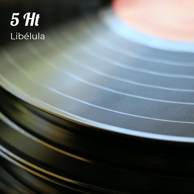Libelula Photo