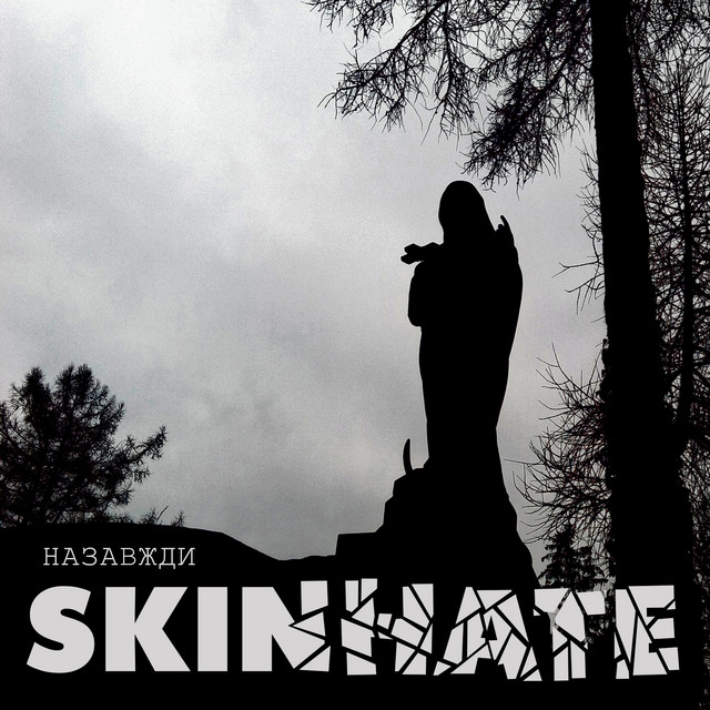 Обкладинка: Назавжди — Skinhate